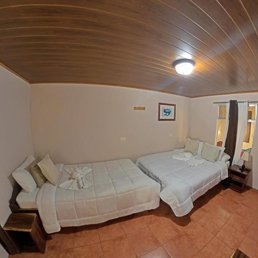 Casa Jungle Monteverde B&B 外观 照片