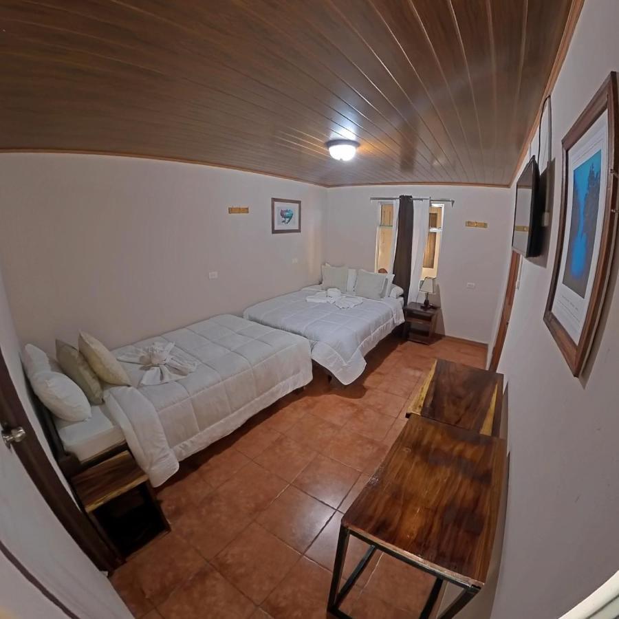 Casa Jungle Monteverde B&B 外观 照片
