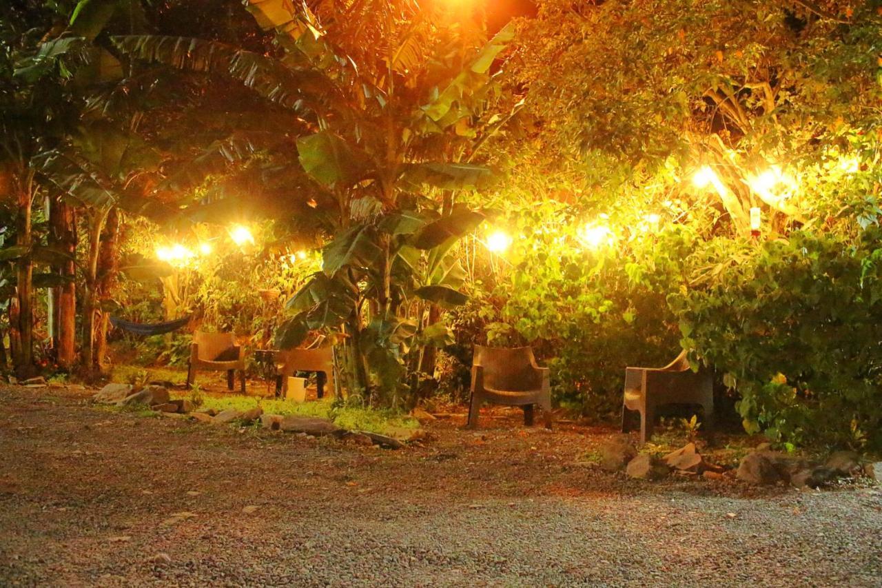 Casa Jungle Monteverde B&B 外观 照片