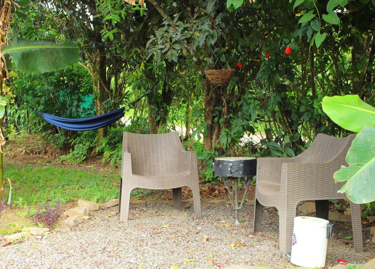 Casa Jungle Monteverde B&B 外观 照片