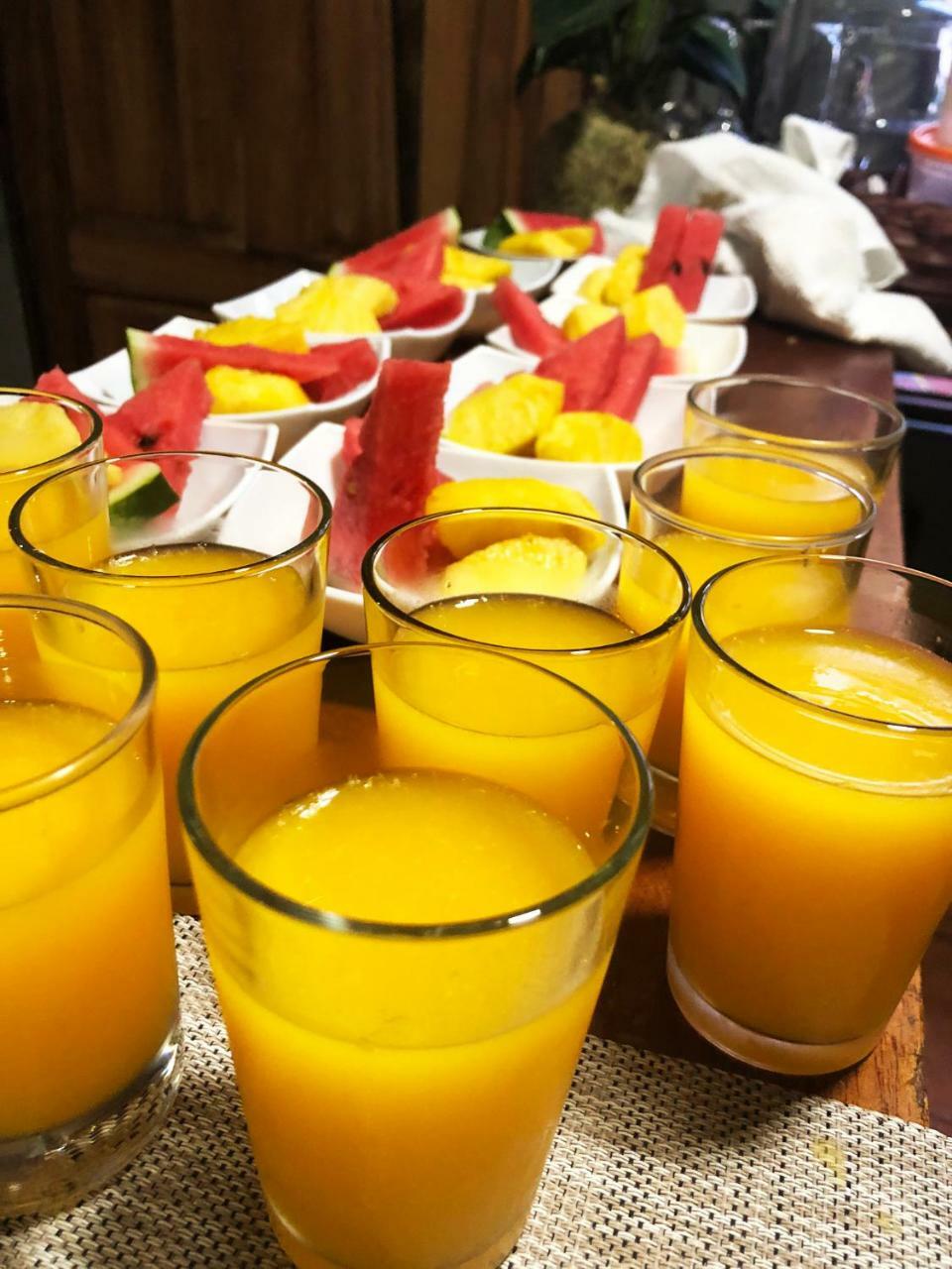 Casa Jungle Monteverde B&B 外观 照片